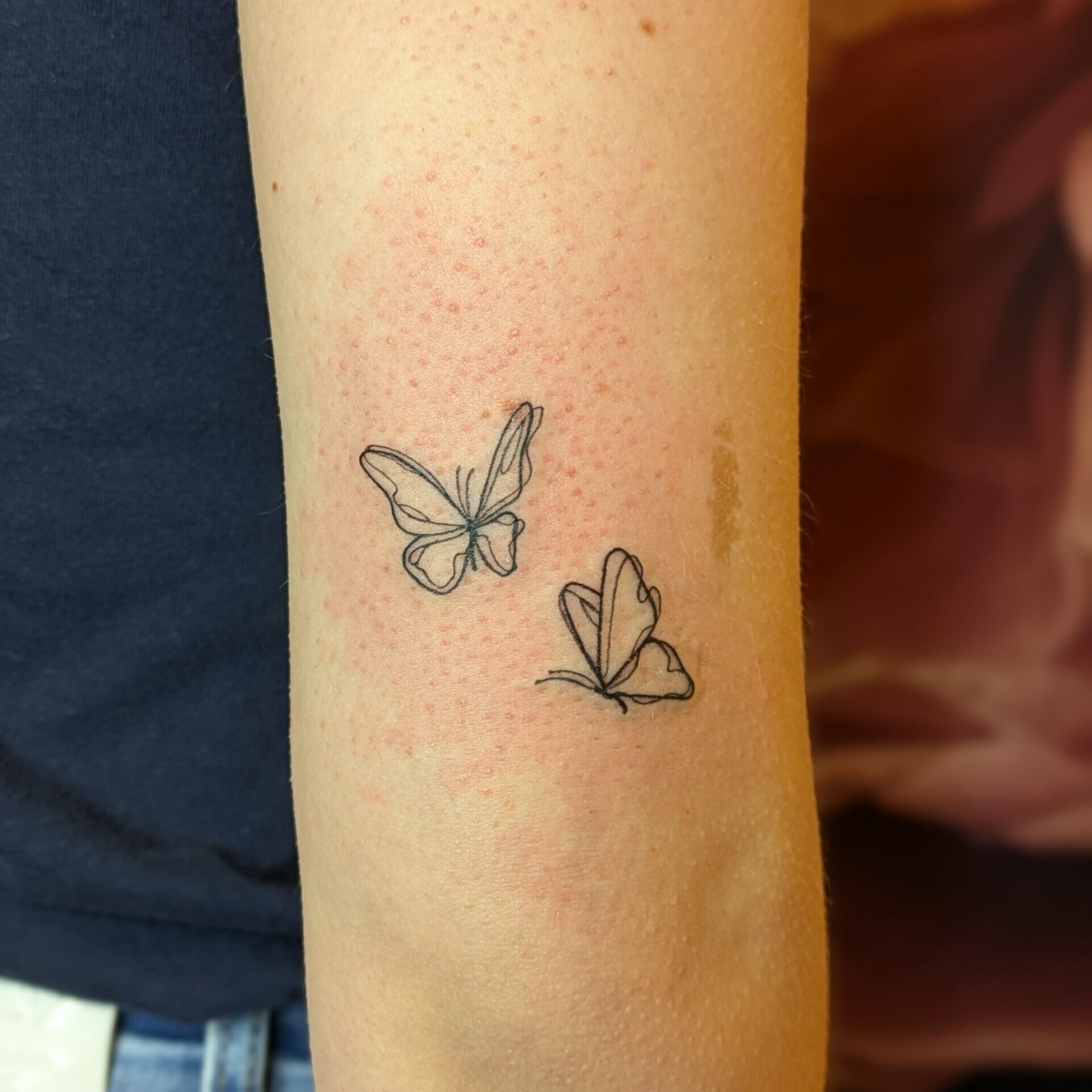 Schmetterlinge - Butterflies - Roxi
